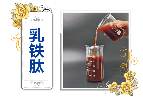 乳铁肽