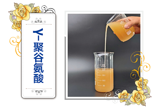 γ-聚谷氨酸