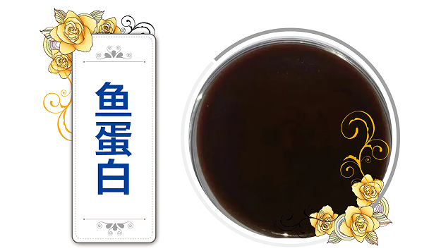 鱼蛋白