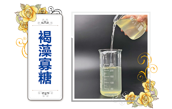 褐藻寡糖