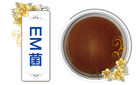 EM菌