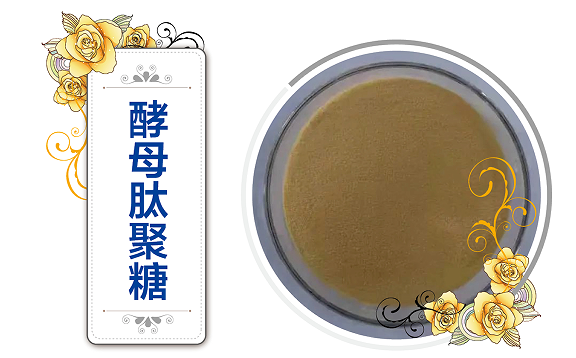 酵母肽聚糖