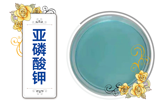 亚磷酸钾