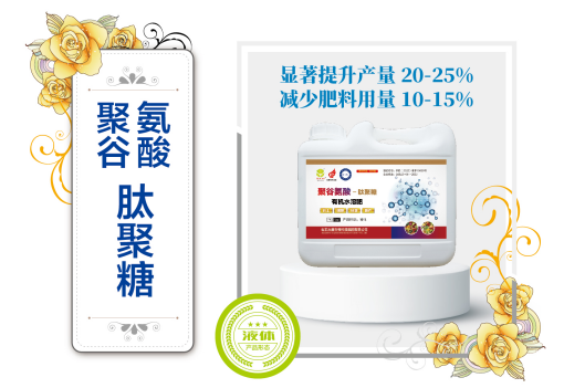 聚谷氨酸-肽聚糖