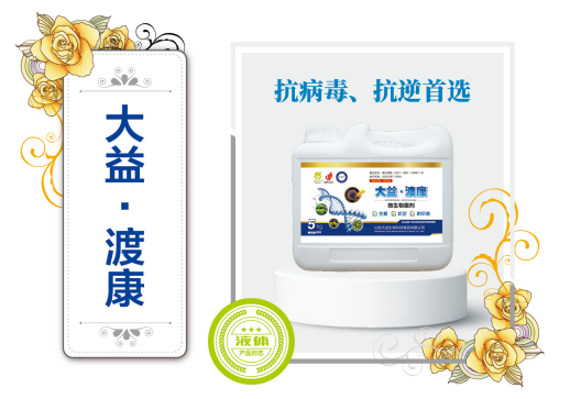 大益 渡康