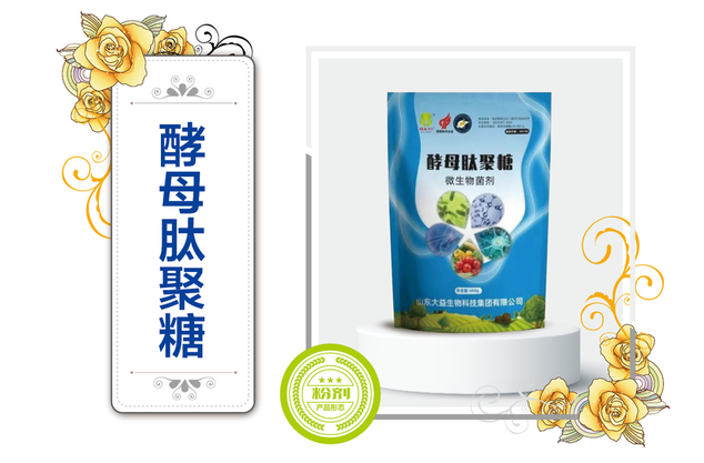 酵母肽聚糖