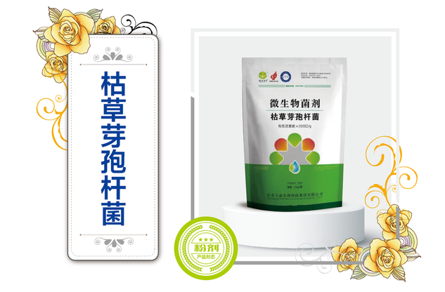 枯草芽孢杆菌