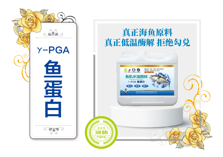 鱼蛋白