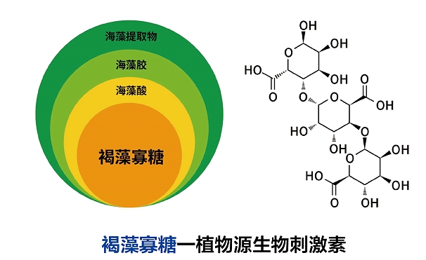 微信截图_20250305154659.png